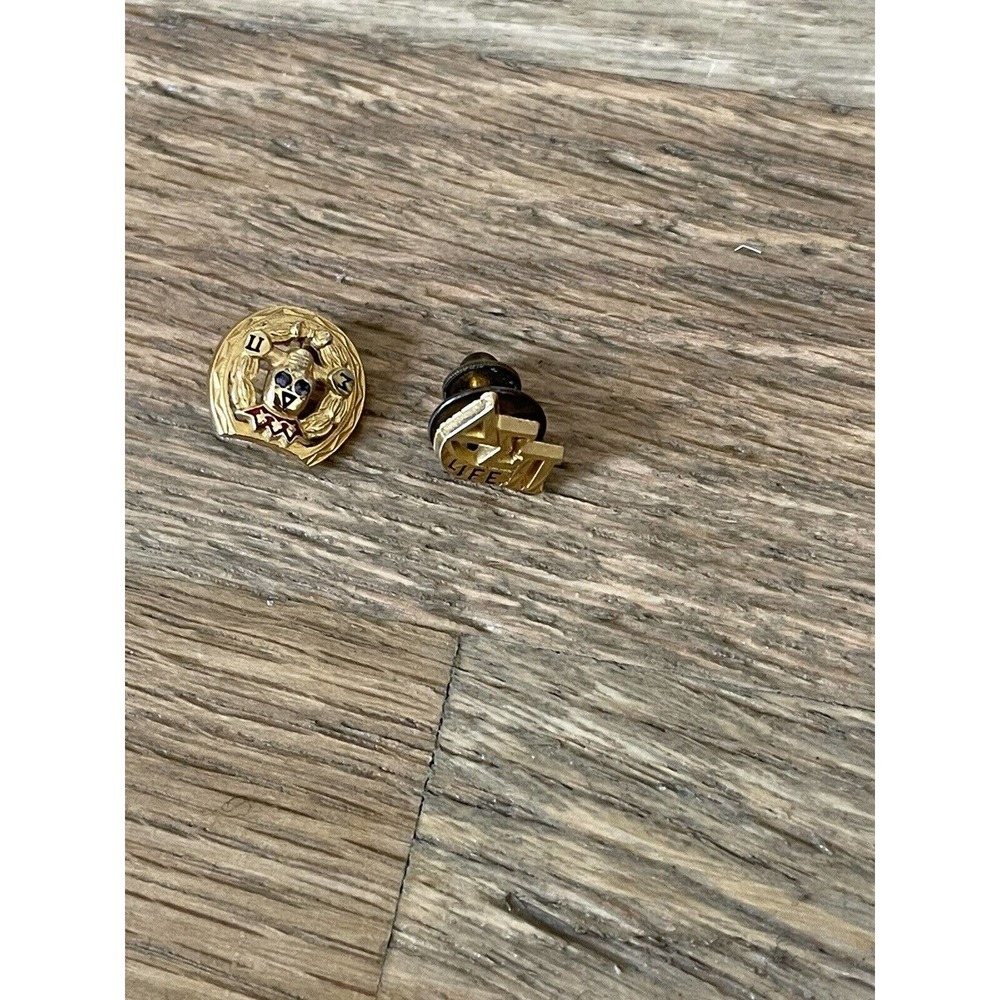 Delta Sigma Pi Fraternity Pins 1960s Gold Plated Set Of Two Pins